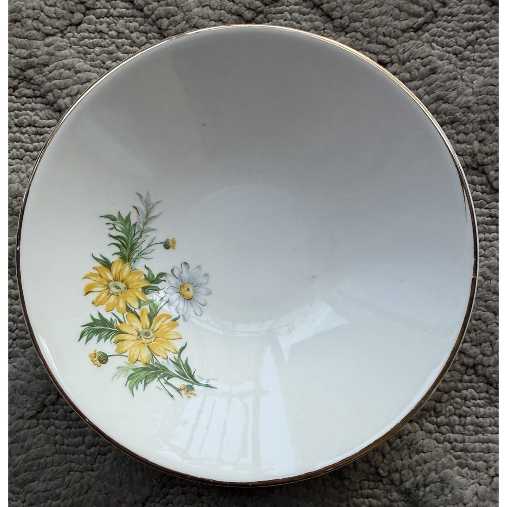 Vintage Fruit/Dessert Bowl Part Of X4011 Collection By Edwin Knowles • Floral